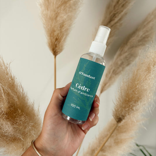 Brume Parfumée / Spray d'ambiance