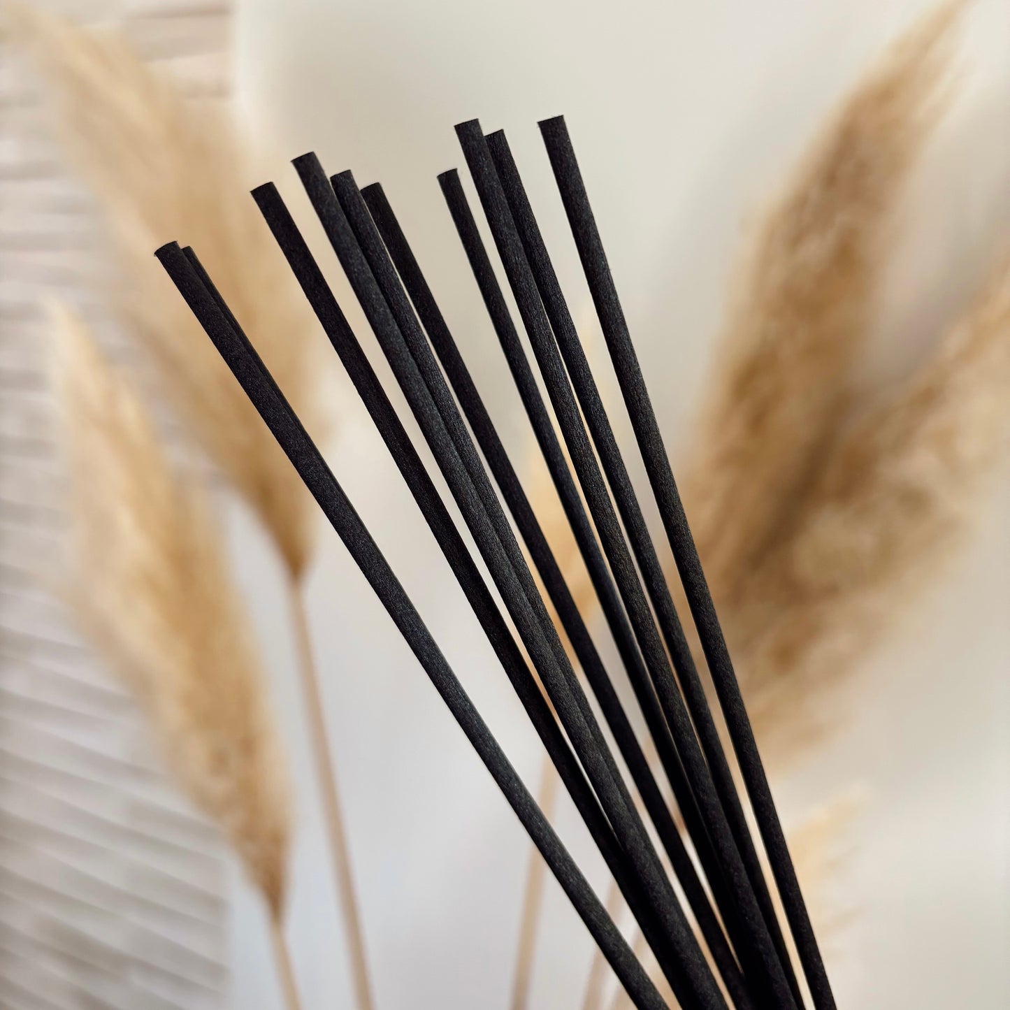 10 Bâtonnets Pour Diffuseur